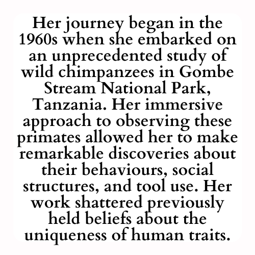 Her journey began in the 1960s when she embarked on an unprecedented study of wild chimpanzees in Gombe Stream National Park, Tanzania. Her immersive approach to observing these primates allowed her to make remarkable discoveries about their behaviours, social structures, and tool use. Her work shattered previously held beliefs about the uniqueness of human traits.