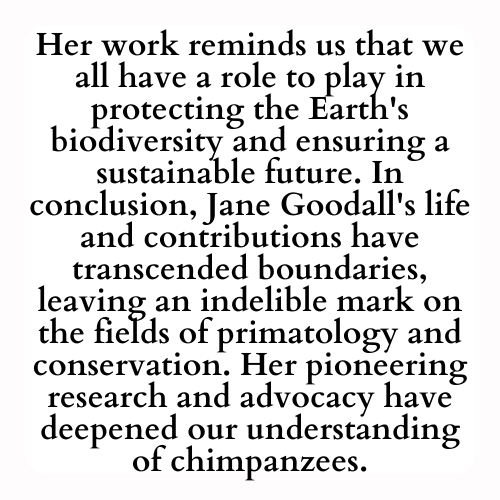 Her work reminds us that we all have a role to play in protecting the Earth's biodiversity and ensuring a sustainable future. In conclusion, Jane Goodall's life and contributions have transcended boundaries, leaving an indelible mark on the fields of primatology and conservation. Her pioneering research and advocacy have deepened our understanding of chimpanzees.
